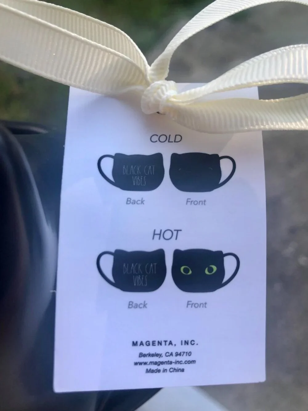 Rae Dunn Black Cat Vibes Mug